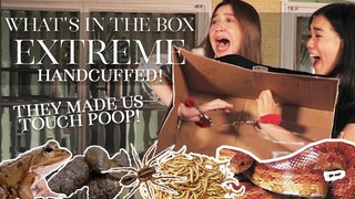 What's in the box EXTREME challenge! Ft. Mika Salamanca