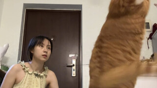 Saya punya kucing lain untuk dipilih saat saya berlatih salto ke belakang