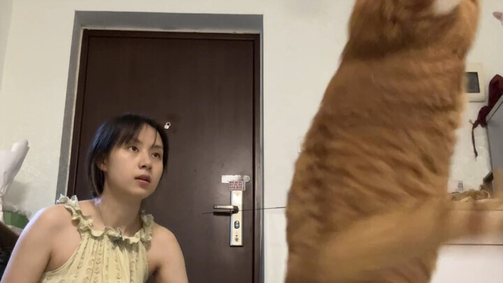 训练后空翻的我另有猫选