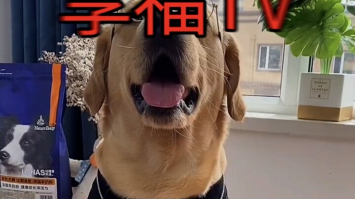 Xiangfu Opening Sequence Collection, Pure Enjoyment Edition