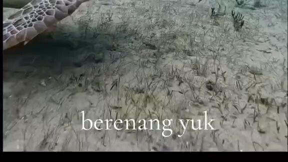 KURA - KURA