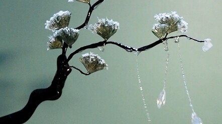 【نسيم زغب الصفصاف الخفيف】 كيف تُشعرك تجربة تحويل شجرة الصنوبر المغطاة بالجليد والثلج إلى دبوس شعر؟