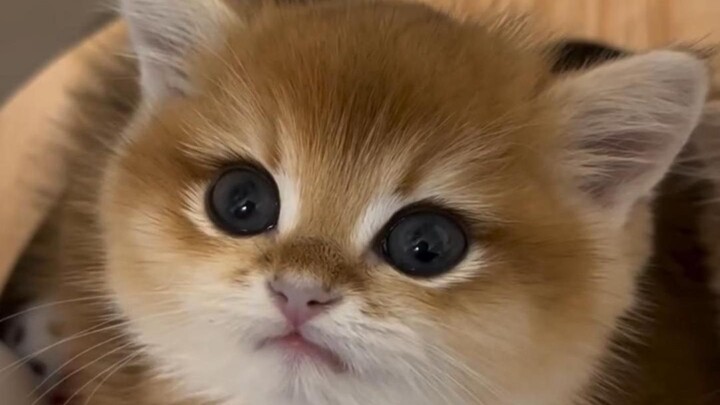 “You Can’t Handle This!!”⑩④