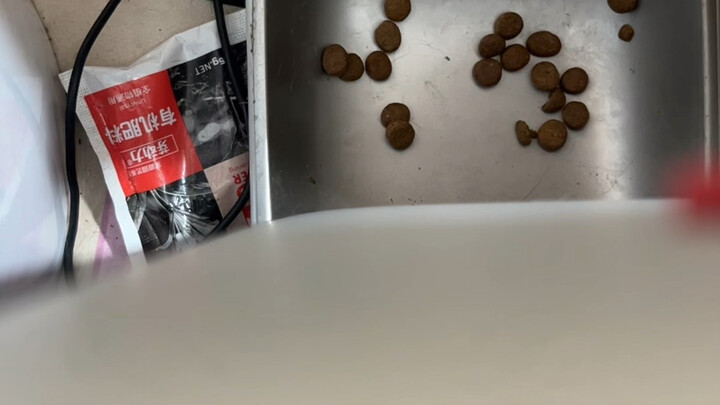 那猫粮卡嗓子了，还吃，命都不想要了，吓死我了