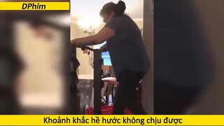 Thể dục hề hước