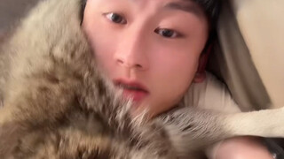 很多人问我浣熊能不能上床抱着睡，我说不能#浣熊 #爆笑