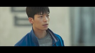 Shark The Beginning