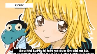 Top 6 Thiếu Nữ Dại Trai Nhất Trong One Piece #14 8