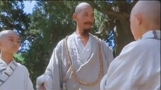 Tai Chi Master (1993)