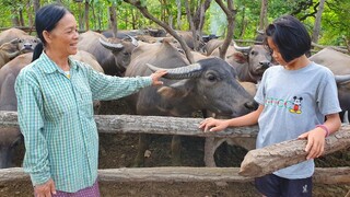 "อ่อมน้องควาย"ตอนเช้าๆ พาเบิ่งสมาชิกใหม่ตัวที่4 ของปี