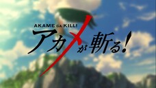 Akame ga Kill! - 10 Sub Indo