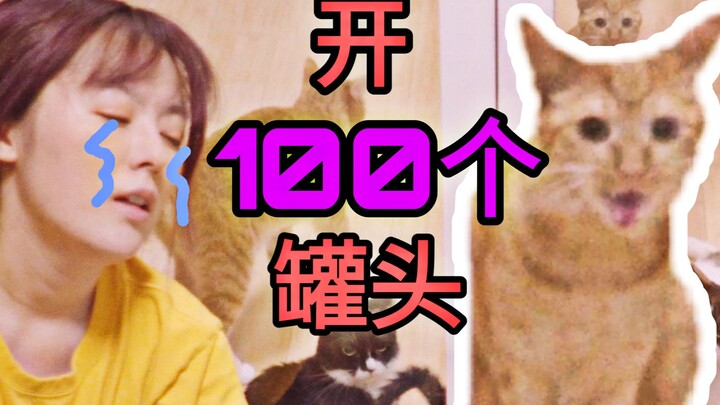 Opening 100 cans of food to feed 33 cats—this scene rivals a large-scale pig-feeding event...