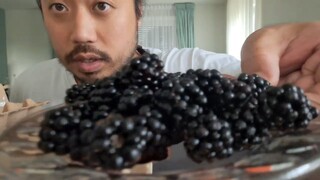 ASMR EATING BIOLOGICAL BLACKBERRIES & PAINTING WOODEN FLOWERS
