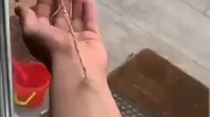 san值微掉
