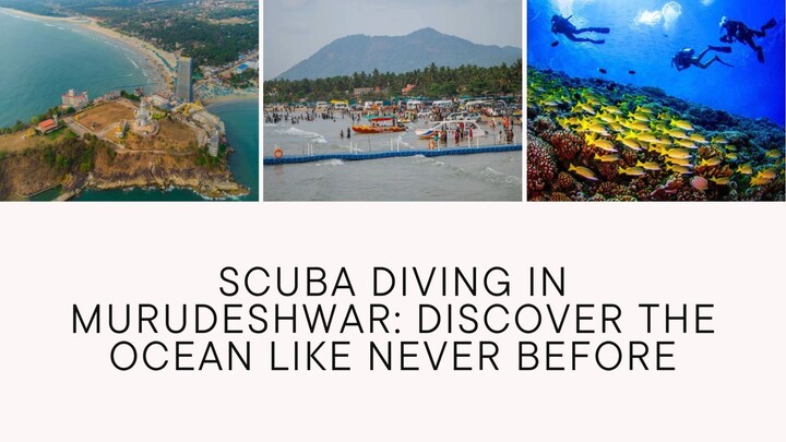 Scuba Diving in Murudeshwar Discover the Ocean Like Never Before