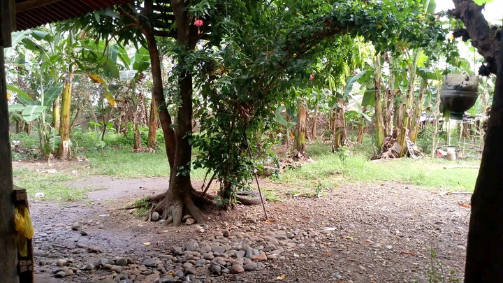 Bayan Ng Bulacan
