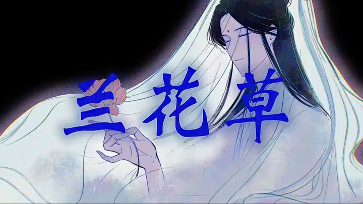 [ Subthai ]【冰秋】 兰花草 (กล้วยไม้ป่า)