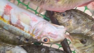 生活，过的就是一种心情，简单快乐，随意且随性。生活是自己的，让自己快乐才有意义。新的一天祝宝子们心情棒棒𓂃ᐝ🔆😘