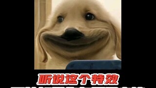 事实告诉我们，不要轻易测血统！不然，身世之谜....