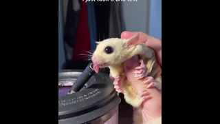 ต้องใส่หน้ากากอะไร ถึงจะป้องกันหัวใจไม่ให้ติดเธอ