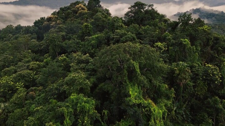 2025 movie starring jackblack