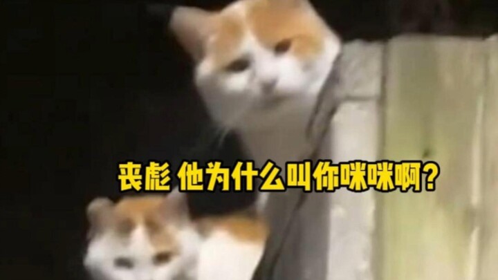 Sang Biao, why does he keep calling you Mimi?