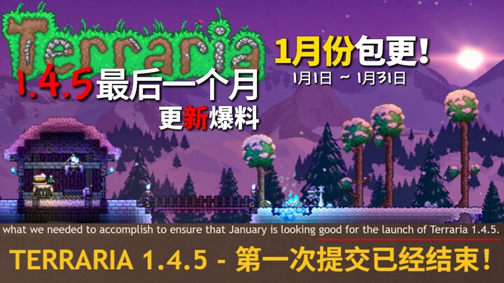 You’ll be able to play 1.4.5 this winter break! What happened in Terraria in December?