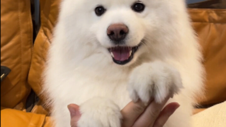 Thấm thoắt đã 4 năm trôi qua, nắm tay thề nguyền, mãi bên nhau không rời, không bỏ rơi nhau.