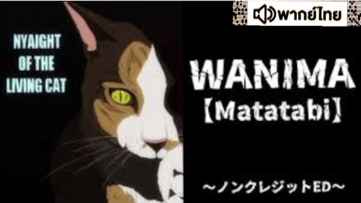 【HD】11.ดูอนิเมะ NyaightoftheLivingCat (๒๐๒๕)ดูหนังญี่ปุ่น (เต็มเรื่องพากย์ไทย) HD【 bilibil HD 】