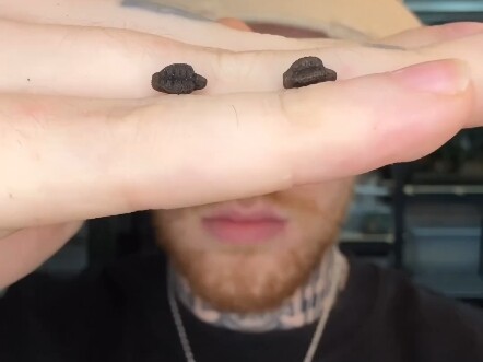 虫子小时候和虫子大时候！