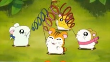 Hamtaro Episode 13 Let's Dance Sandy