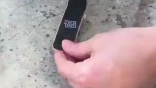 Turtle: Find that rabbit for me!