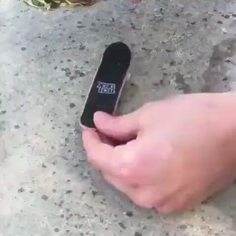 السلحفاة: أحضروا لي الأرنب!