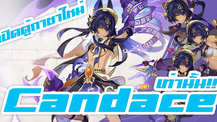 สุ่มกาชาใหม่ Genshin Impact 31 หาแม่สาว Candace เท่านั้น!!