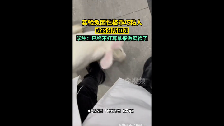 The lab rabbit’s sweet, clingy personality makes him the whole drug division’s favorite—so much so t