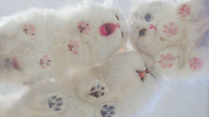 هذا المنظور مريض بحق... يُرجى إحضار المزيد منه!