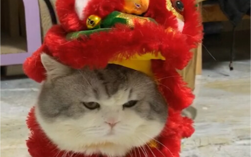 Xin lỗi con yêu của mẹ, mẹ đã mua chiếc mũ cỡ lớn nhất rồi…