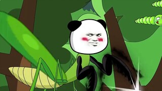 Mantis enters ant nest, ant queen gets angry