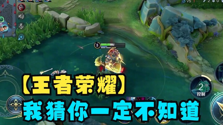 [Honor of Kings] I bet you had no idea!