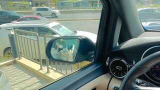 Saudi Arabia driving