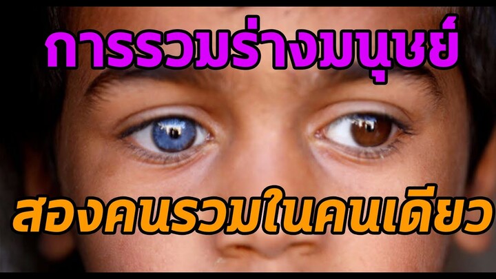 การรวมร่างมนุษย์ 2 คนเป็นคนเดียว Tetragametic Chimeras - Mystery World