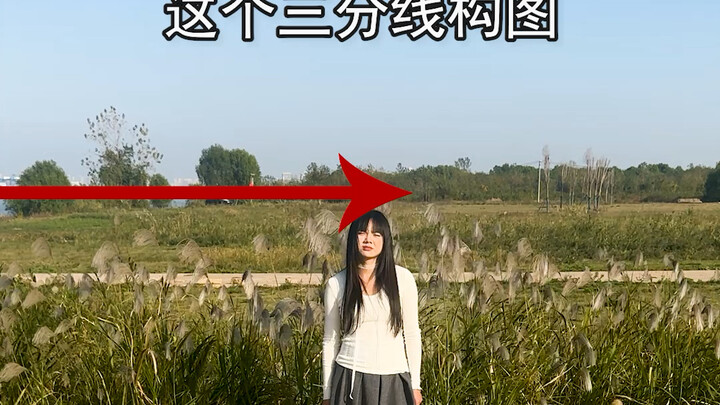 芦苇拍照技巧，芦苇拍照姿势，芦苇拍照角度