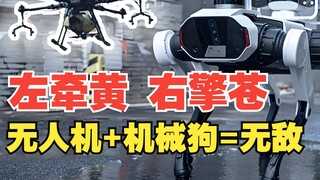 Seberapa kuat sih kemampuan tempur gabungan drone dan anjing robot?