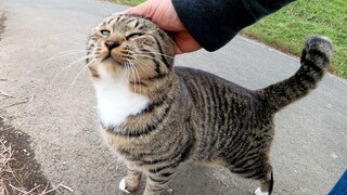 [Cats] Wildcats Meeting For The First Time