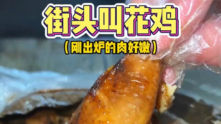 西安街头偶遇的叫花小公鸡，也太是那个了！！！