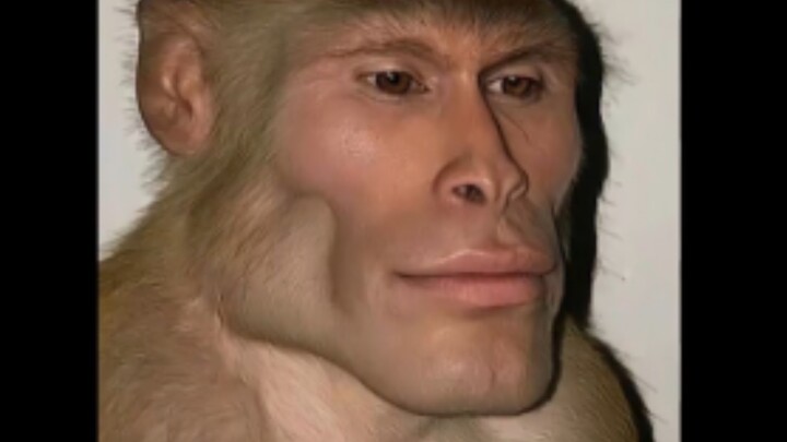 Sampulnya sangat unik, tapi konten videonya penuh energi positif 😃