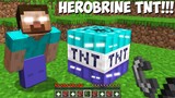 WHAT HAPPENS if YOU LIGHT HEROBRINE TNT in Minecraft ! STRANGEST TNT
