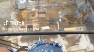 Fun of video just simal