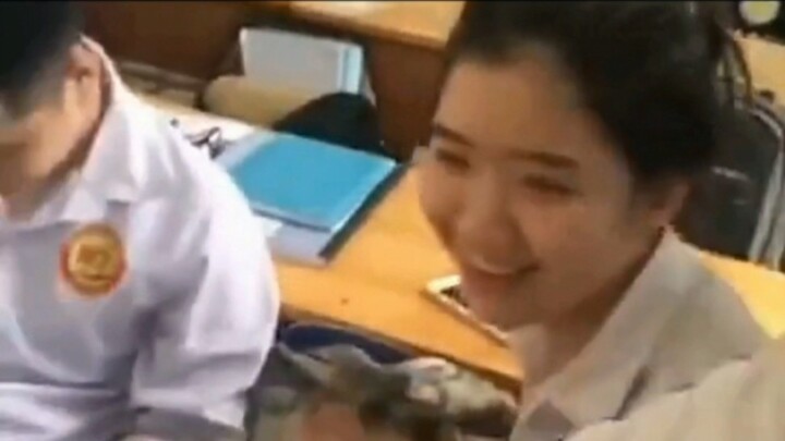 มาดูฟีซี่กัน!