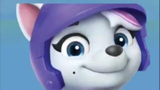 Paw Patrol: Karakter Anggota Paw Patrol baru: Roxi (Musim 10 ) Debut : Rescue Wheel